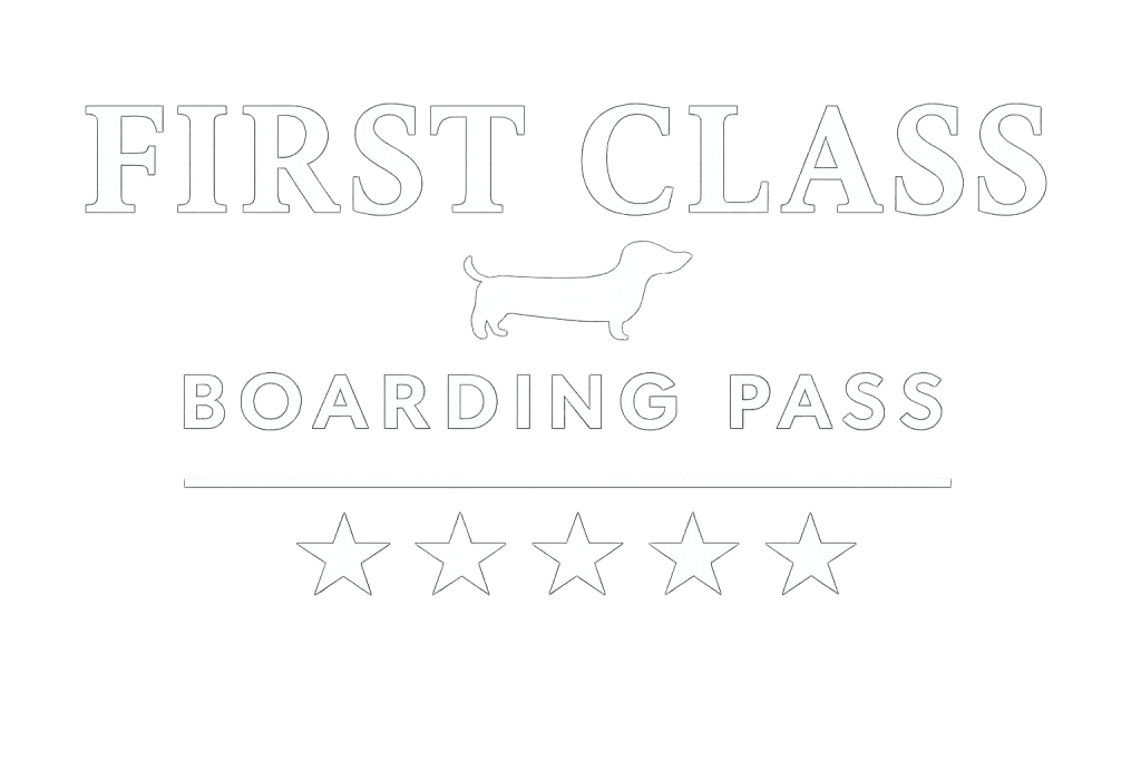 logo-first-class-boarding-pass-luxury-reinvention-teckel-5-stars-40-years