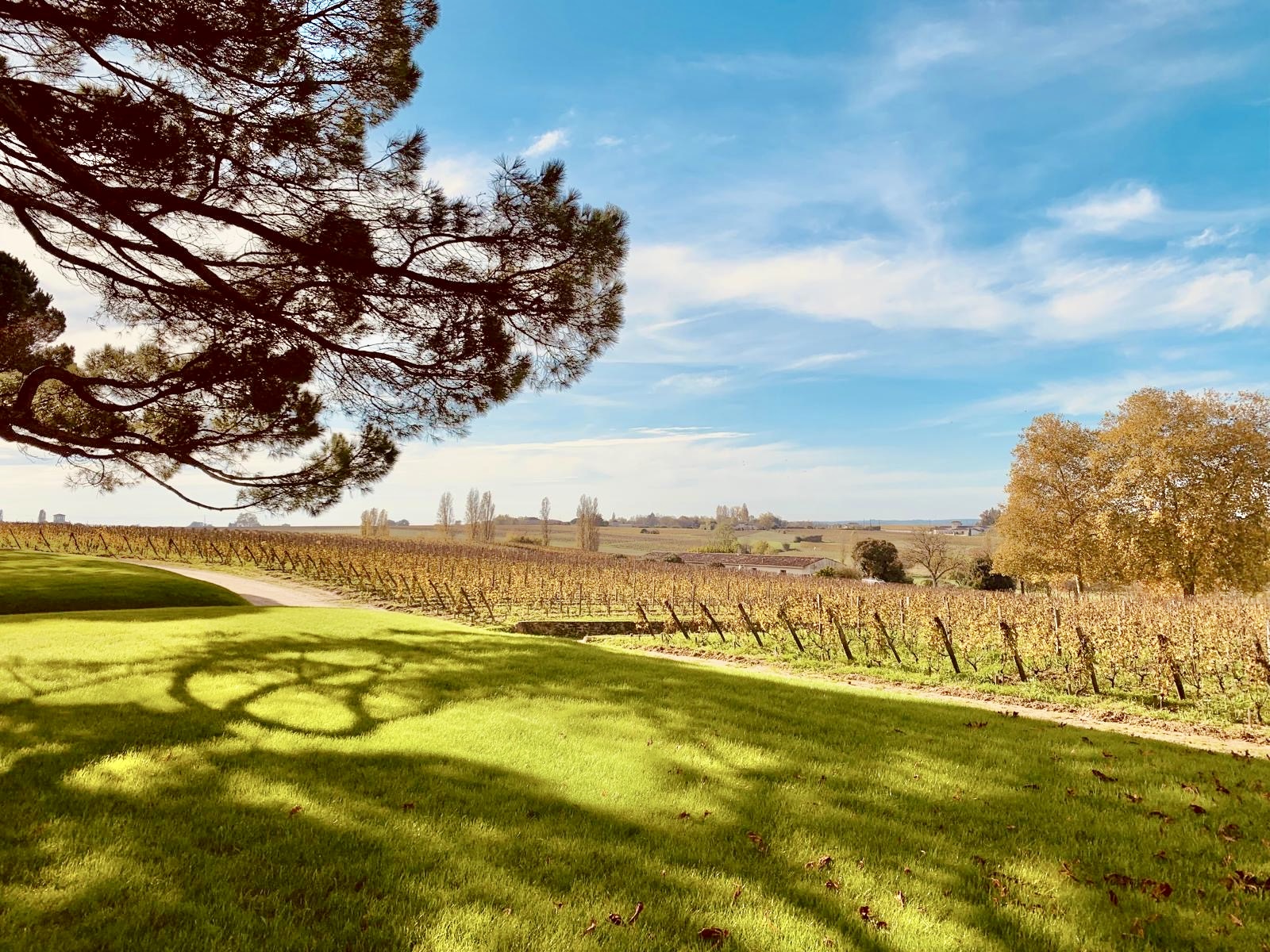 Scenic view of rolling vineyards at Les Sources de Caudalie in Bordeaux, a serene luxury travel escape.