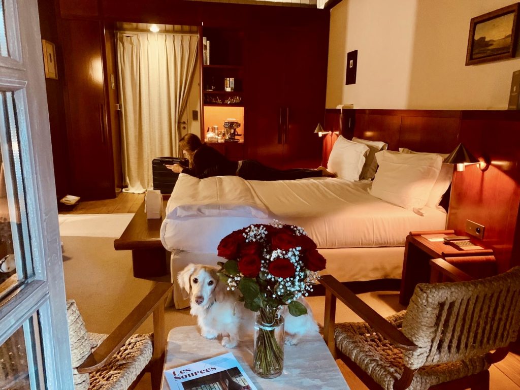 Luxury vineyard retreat in Bordeaux Junior suite at Les Sources de Caudalie with red roses, teckel Takkie dachshund dog and a woman relaxing on the bed.