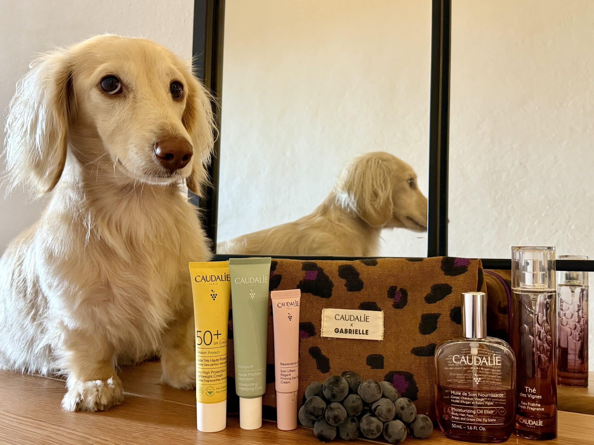 Caudalie luxury skincare travel carry-on essentials with mini dachshund Takkie posing next to Gabrielle vanity.