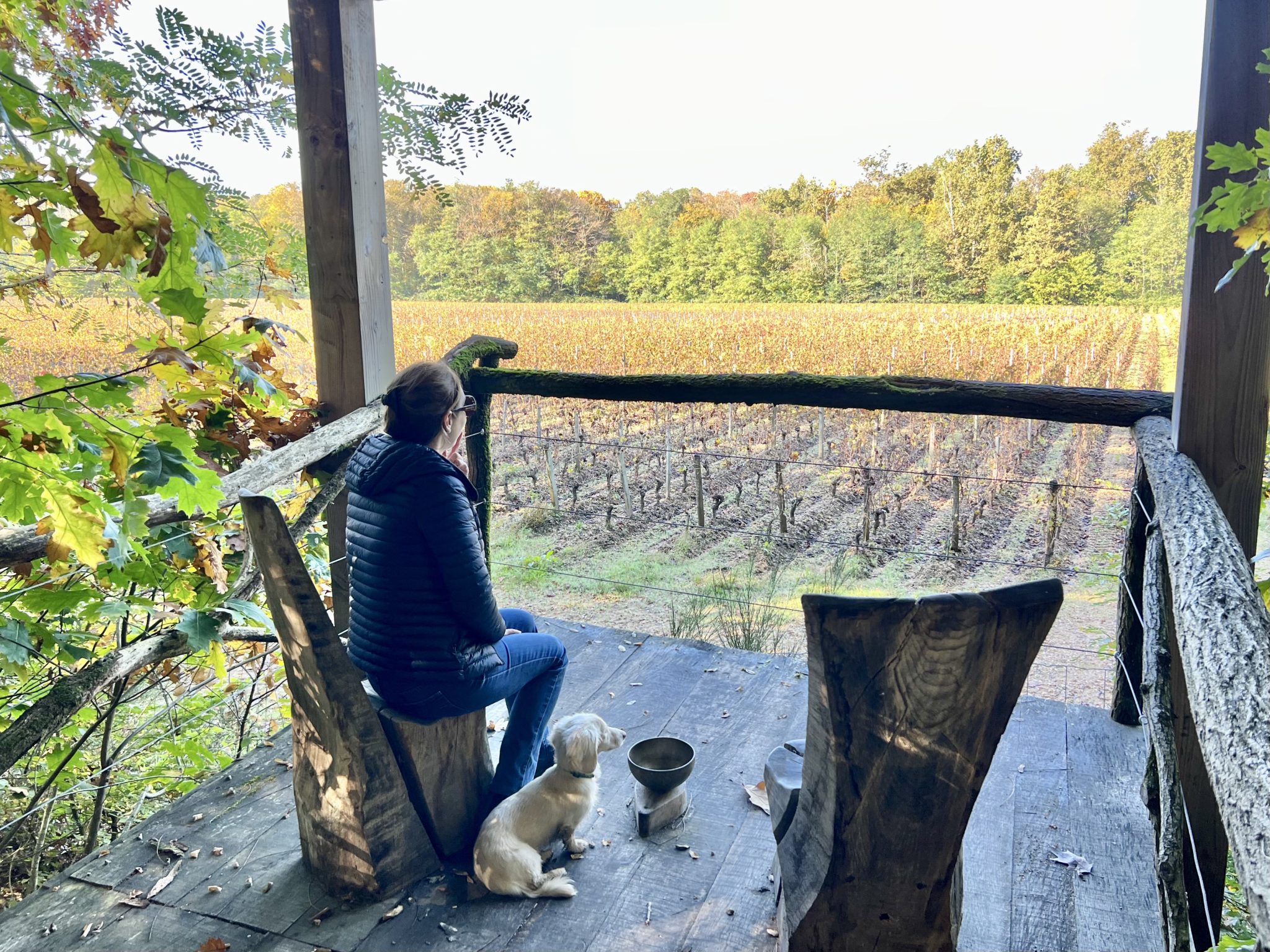 Woman with her dog sitting on a wooden terrace overlooking vineyards and forest at Les Sources de Caudalie.