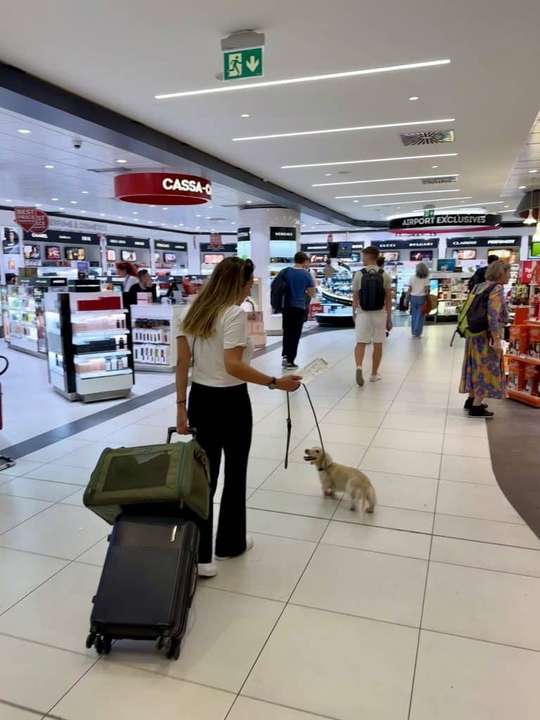 Midlife Reinvention, a 40-year-old woman with her cream dachshund Takkie, walking through the airport with suitcase, beginning her journey of transformation